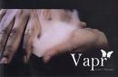 Vaprスモーク装置
