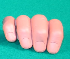 ４本指