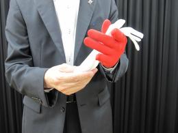 ストリーマーになる紅白手袋