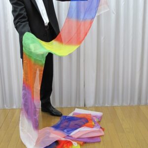 ジャンボレインボーのべシルク②